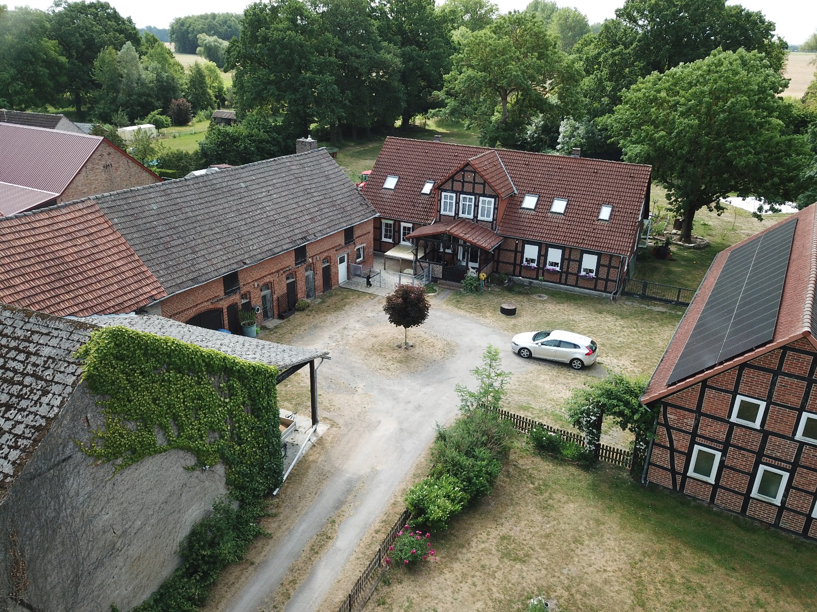 Dynamic Content Image